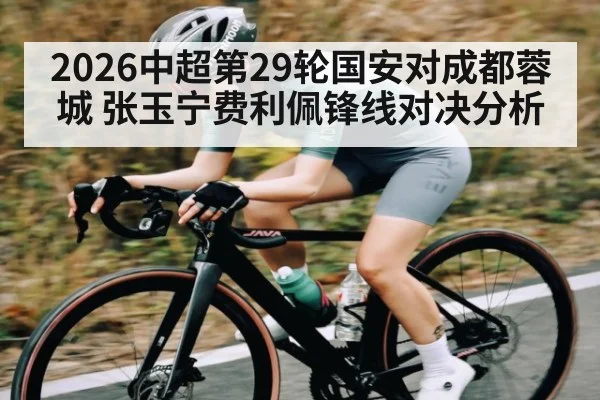 2026中超第29轮国安对成都蓉城 张玉宁费利佩锋线对决分析